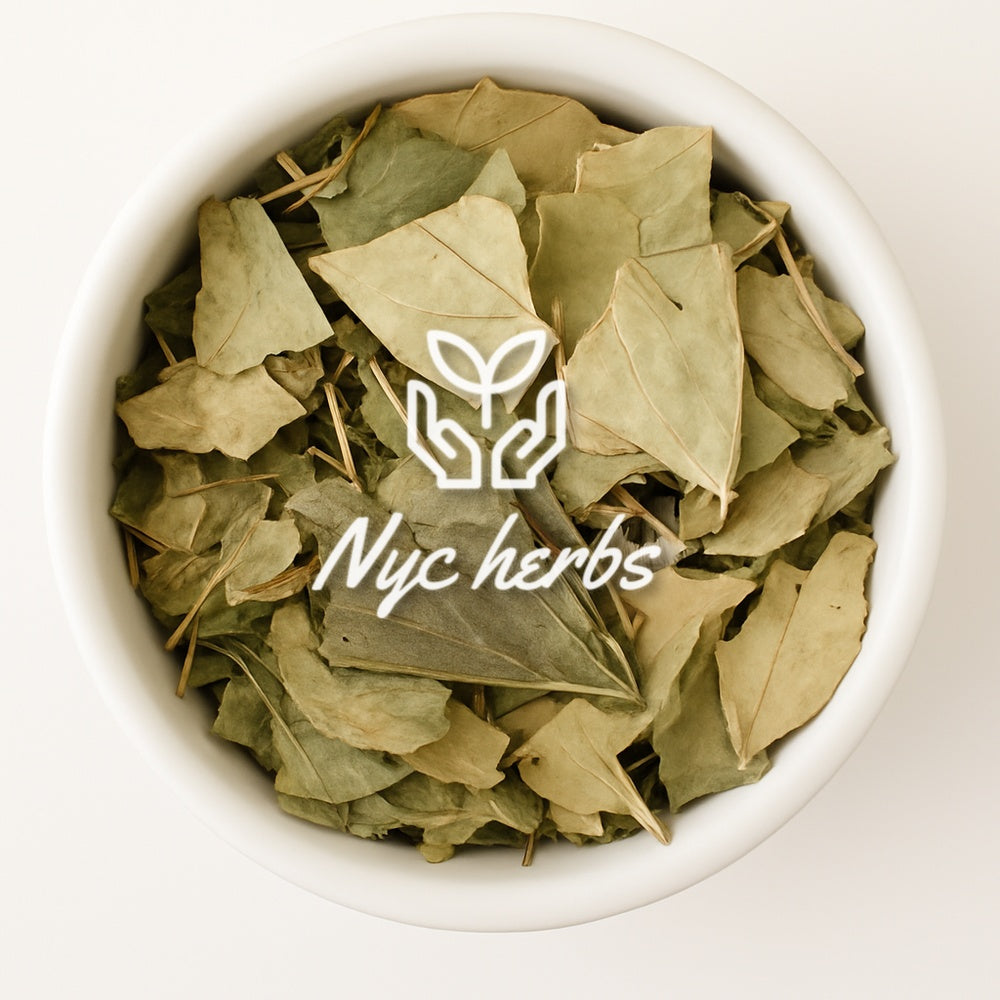 Soursop Leaves (Graviola) | Immune, Cellular & Antioxidant Support
